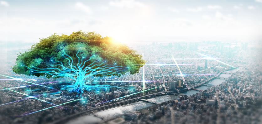 方正科技寬帶服務